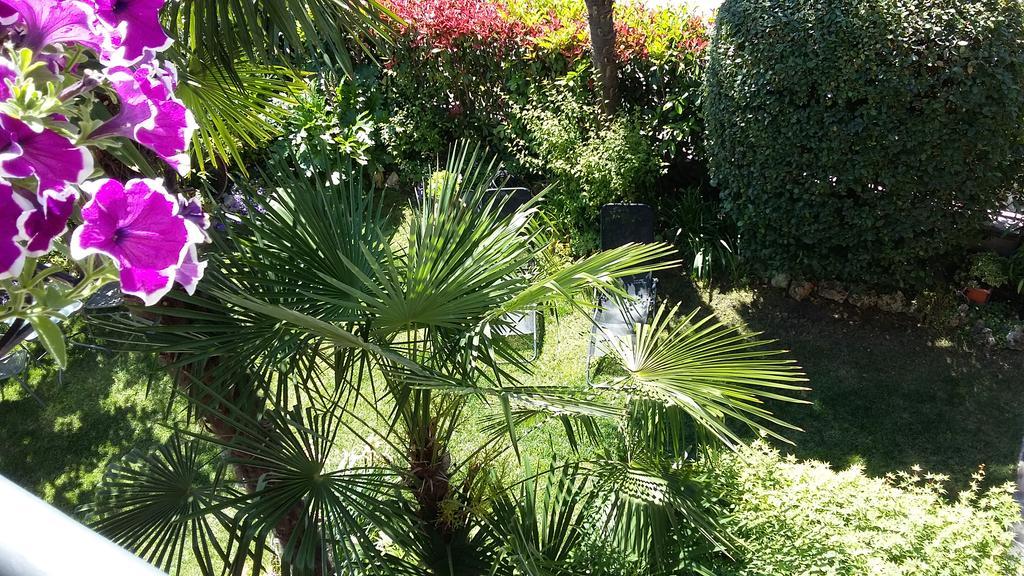 ديسينسانو ديل غاردا B&B Il Paiolo المظهر الخارجي الصورة